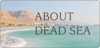 死海とは